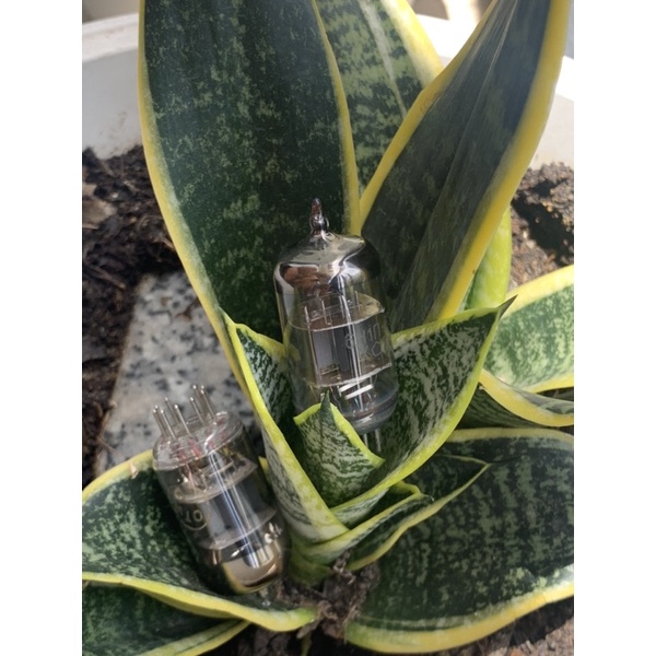 Tube Đèn điện tử 6H2P-EB  Nga phiến BẠC