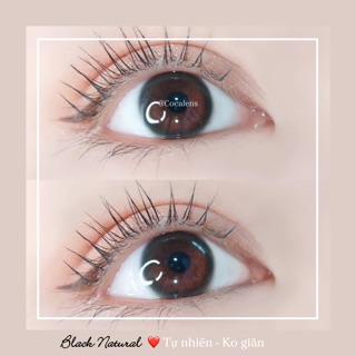 Lens CHOCO & BLACK bán chạy nhất 2020