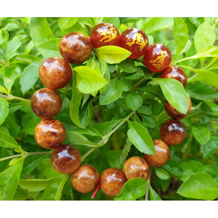 Vòng Tam Hợp Quý Nhân DẦN NGỌ TUẤT Bằng Gỗ Huyết Long