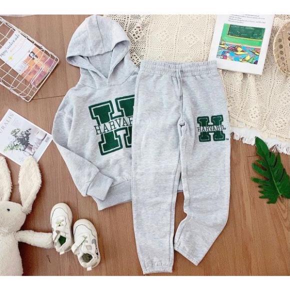 BỘ NỈ HOODIE MÀU GHI THÊU H HARVARD XANH BÉ TRAI SIZE ĐẠI