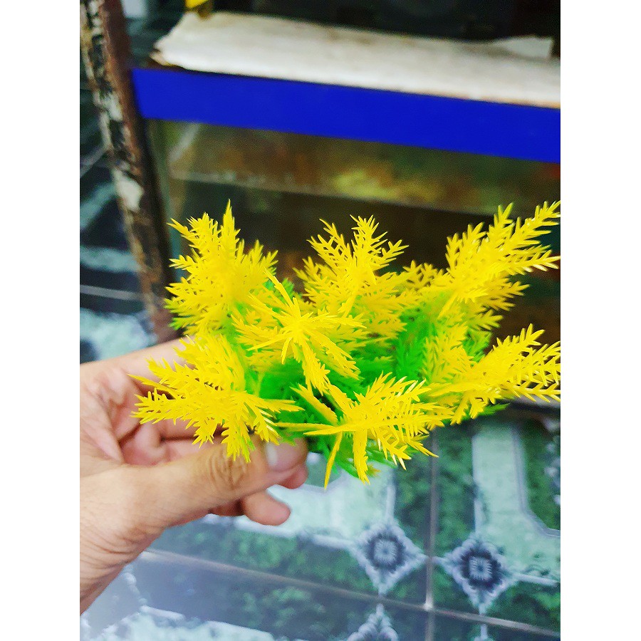 RONG TRANG TRÍ HỒ CÁ NON BỘ CAO 10CM