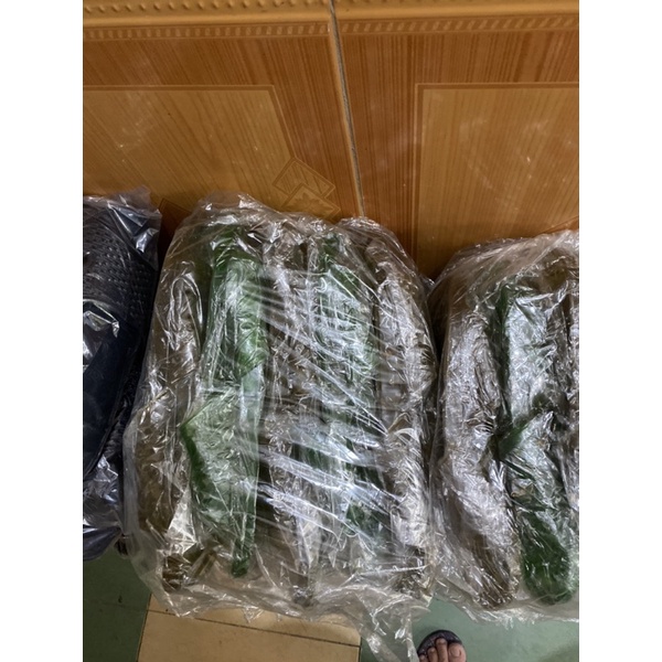 Dép lỗ nhựa đi trong nhà và nhà tắm