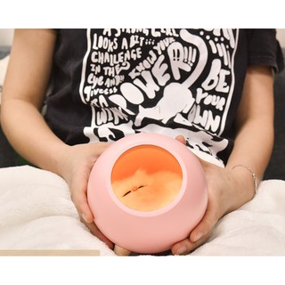 ❤️FREE SHIP❤️ Đèn Ngủ mèo con dễ thương (hàng có sẵn)