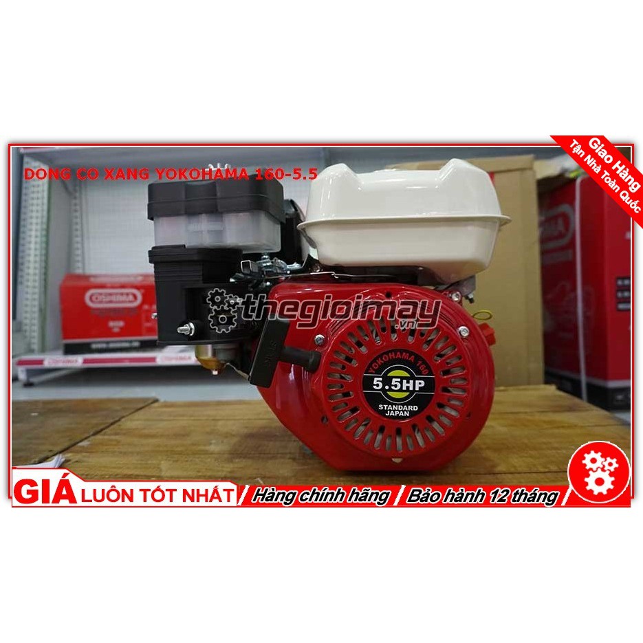 Máy Nổ Động Cơ Xăng Yokohama 5.5hp