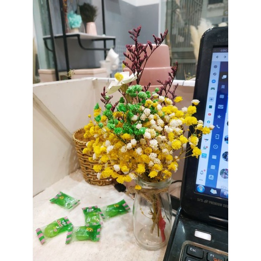 🍁 Set hoa baby khô nhiều màu 🍁 lọ hoa khô cắm sẵn trang trí phòng ngủ🍁