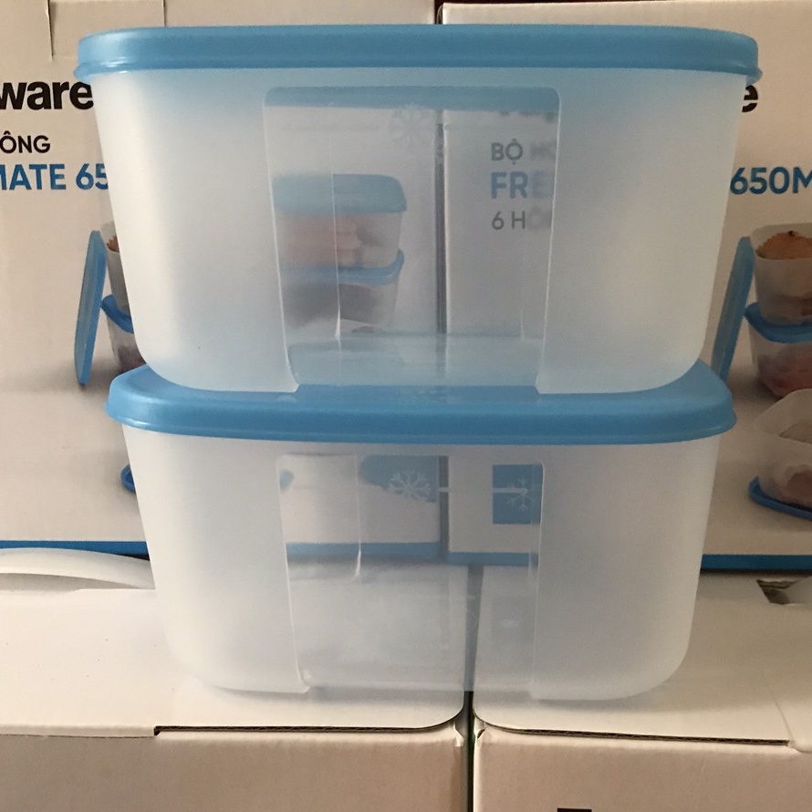 TUPPERWAREHOUSE MALL - Hộp Trữ Đông Freezermate 650ml