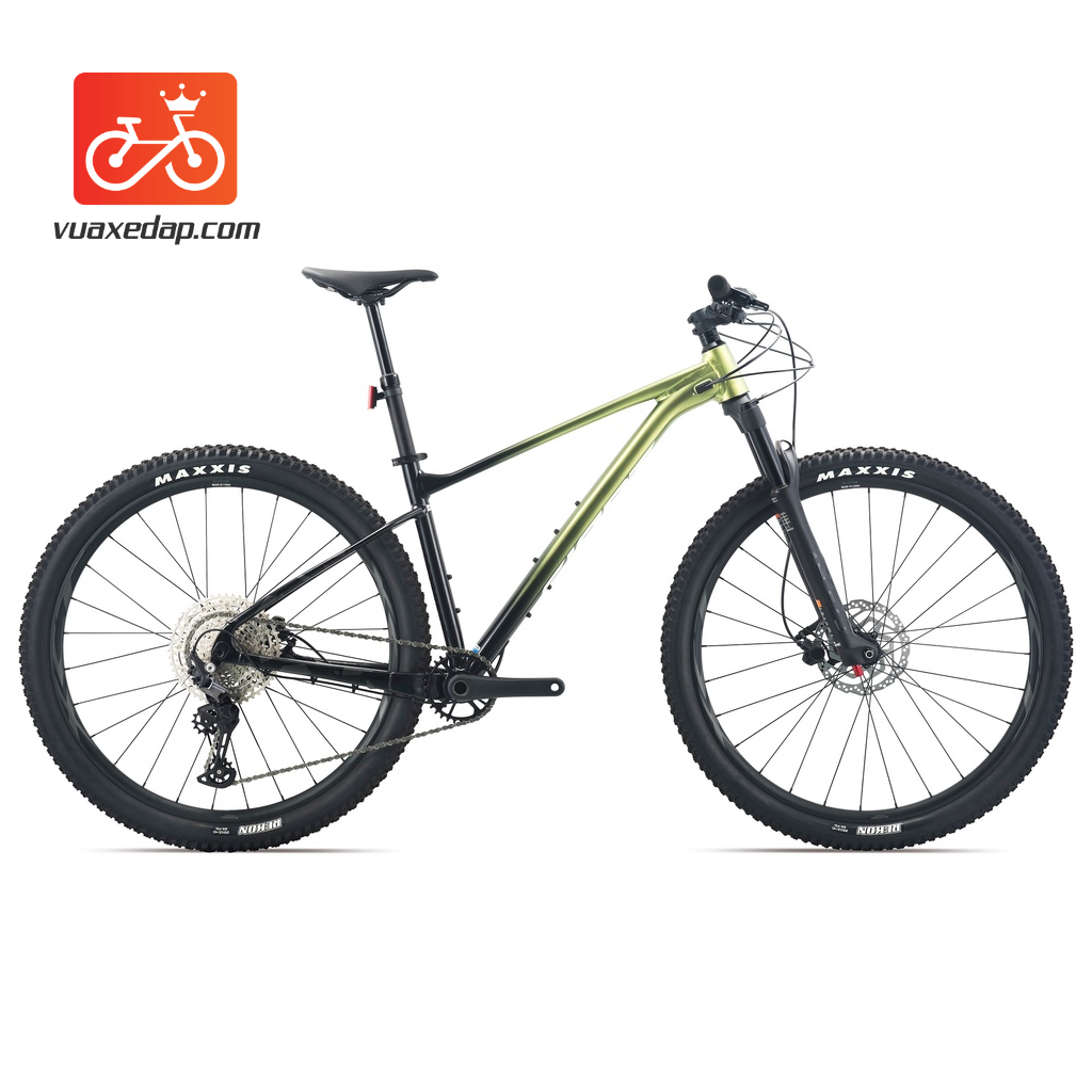 XE ĐẠP ĐỊA HÌNH GIANT XTC 29 1 2022