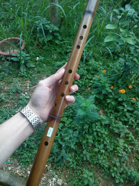 Tiêu Trúc Hun Khói. Tiêu Bát Khổng