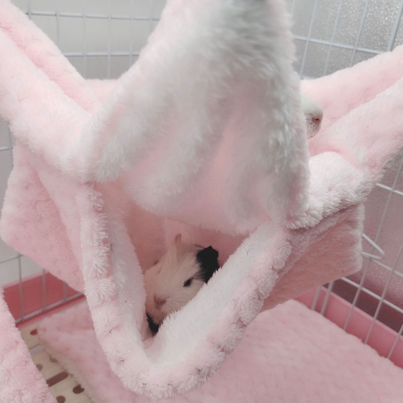 Bộ 3 Món Võng + Đường Hầm + Đệm Lót Ẩn Cho Chuột Hamster Vào Mùa Đông