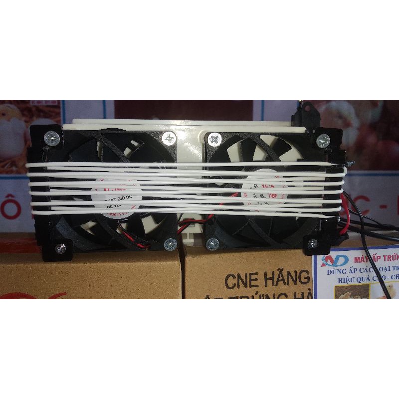 Máy Ấp V6 CNE 2022