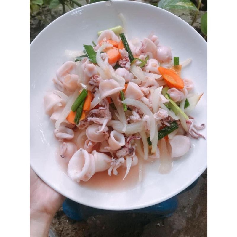 mực chã ❤HÀ NỘI SHIP HOẢ TỐC❤mực chã size vừa dễ chế biến: Mực xào me, Mực ăn lẩu, Mực hấp, đồ ăn vặt ngon