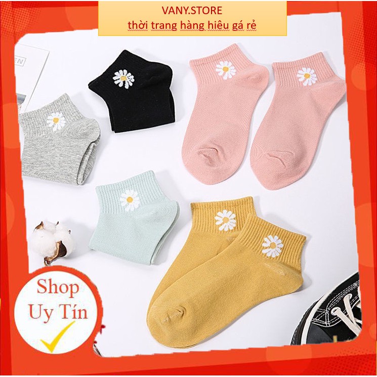 Tất/Vớ Nữ Đẹp Cổ Ngắn Hoạ Tiết hoa cúc theo phong cách Hàn Quốc mã 0020