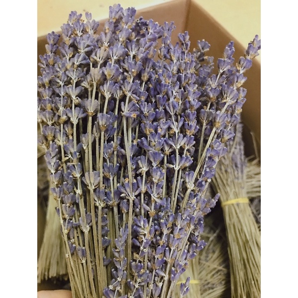 Hoa khô Lavender Pháp Sale