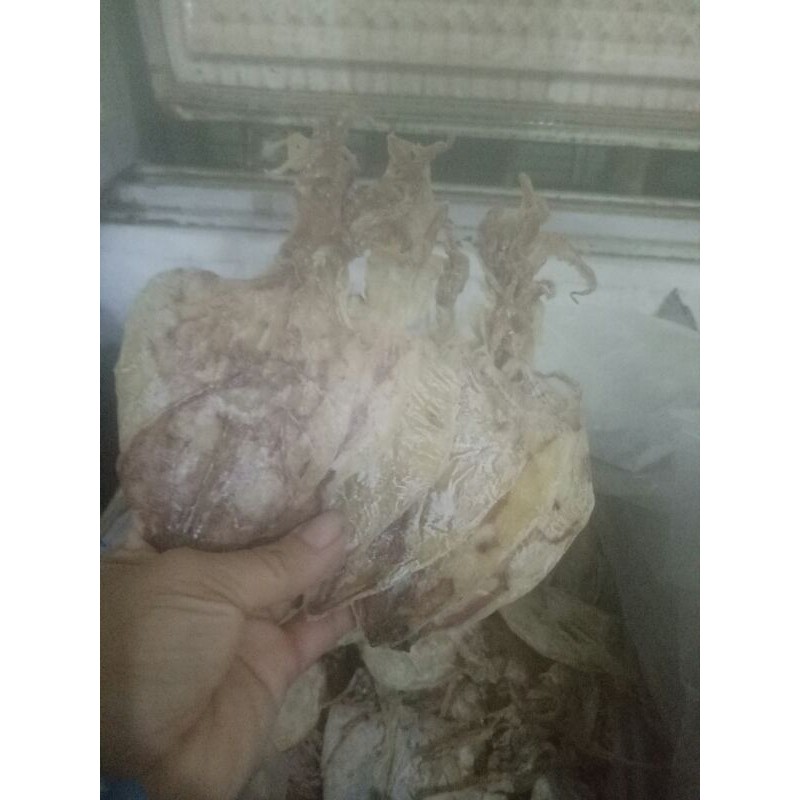 Mực khô mini con từ 2-4 ngón tay [DỌN KHO - XẢ LỖ] dùng rim me, ngào tỏi ớt, ngon, ngọt | BigBuy360 - bigbuy360.vn