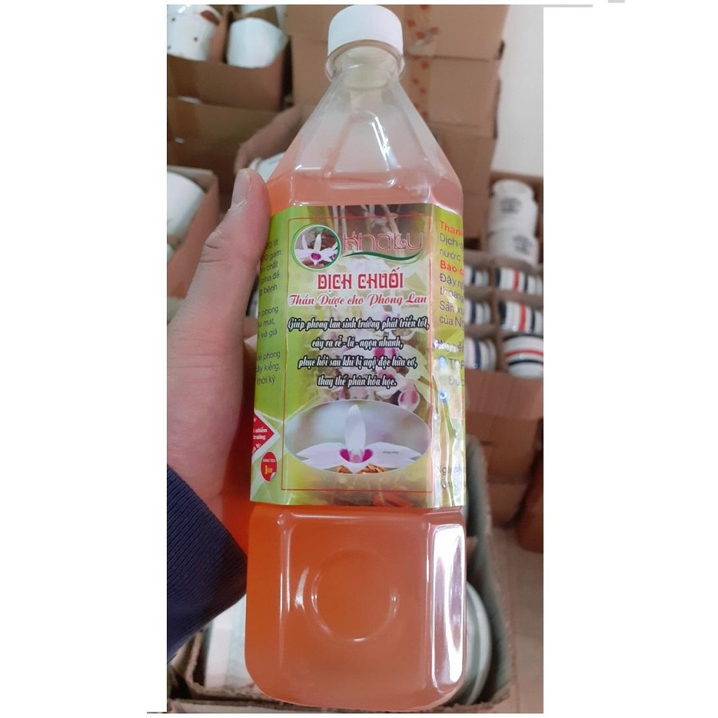 Chế phẩm Dịch chuối Quốc Tư dùng cho mọi cây trồng chai 1L