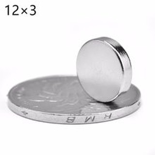 Nam châm viên đất hiếm 12x3mm