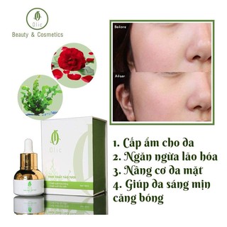 TINH CHẤT TẢO TƯƠI OLIC