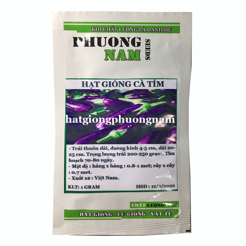 1GR - HẠT GIỐNG CÀ TÍM DÀI