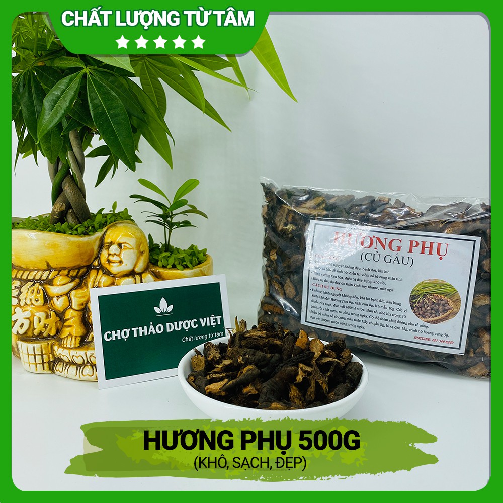 Hương phụ, củ gấu, cỏ gấu khô, sạch, đẹp 500g - Chợ Thảo Dược Việt