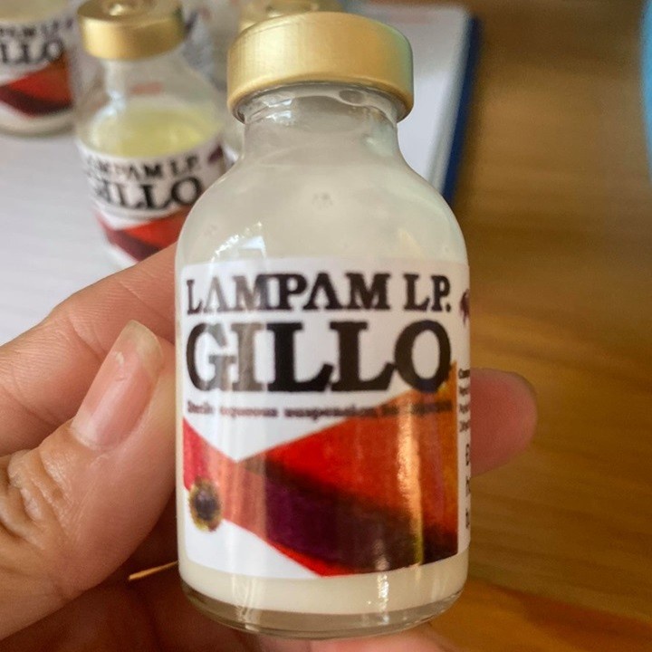 GILLO LAMPAM - BÁCH BỆNH CHO GÀ ĐÁ (Chai 20ml)