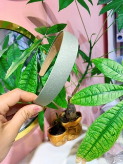 Bờm tóc trơn nhiều màu bờm basic đẹp