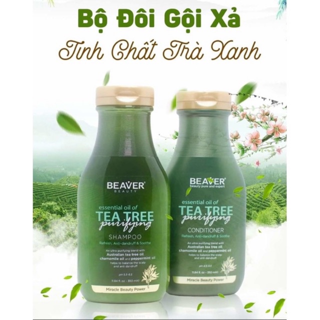 DẦU GỘI XẢ CHỐNG RỤNG NGĂN DẦU GIẢM DẦU TINH CHẤT TRÀ XANH BEAVER 350ml