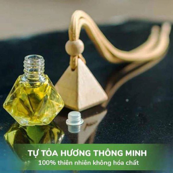 New Tinh dầu treo xe, treo phòng Hương Bạc hà tặng 1 lọ tinh dầu 10ml