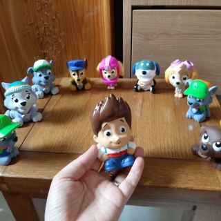 Set 10 chú chó cứu hộ
