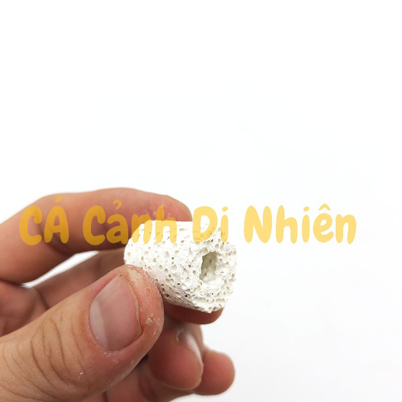 Sứ lỗ lọc nước bể cá (200g) vật liệu lọc hồ cá, bể cá cảnh - cacanhdinhien