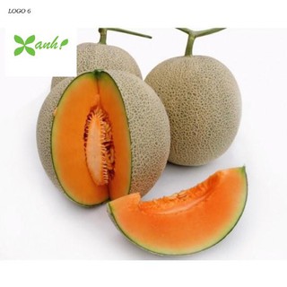 Hạt giống Dưa lưới F1 (Ruột cam, Siêu ngọt)
