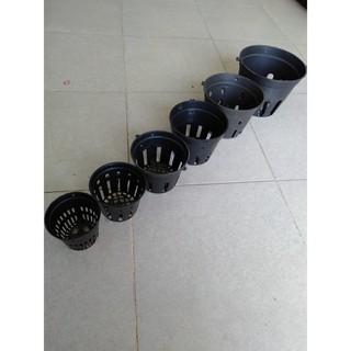 30 Chậu lan đen fi 10