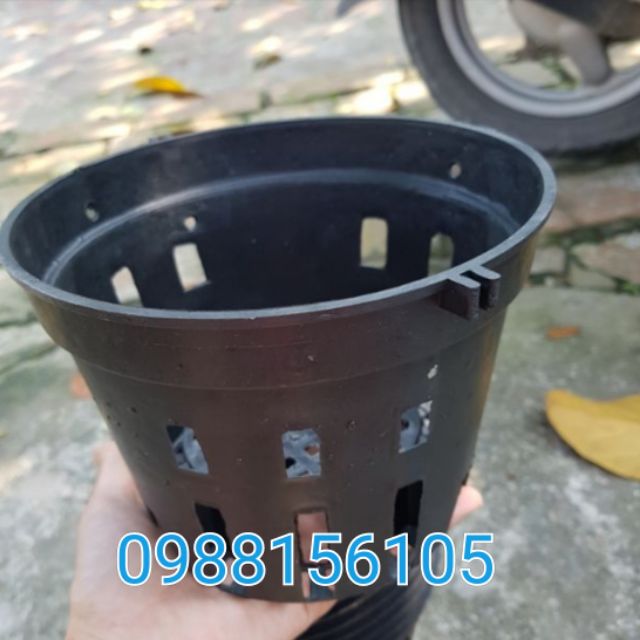 10 Chậu trồng lan rộng 18 cm