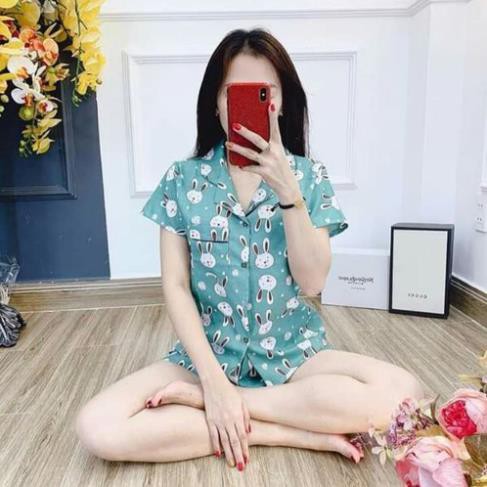 [Free ship 50k] Bộ Pijama cộc đồ ngủ, đồ mặc ở nhà chất kate thái siêu đẹp không nhăn  ཾ