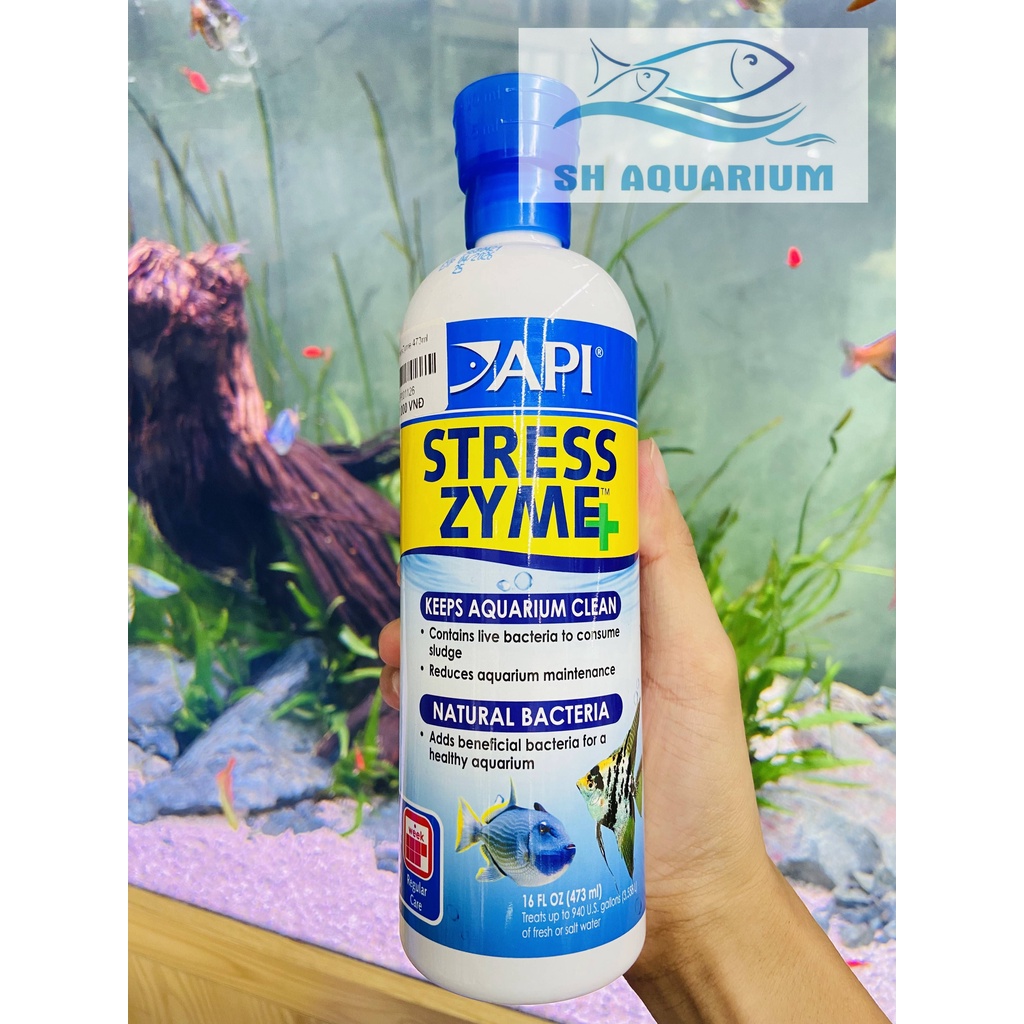 VI SINH SỐNG CAO CẤP API STRESS ZYME+