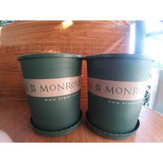 Combo Chậu Monrovia Trung Quốc