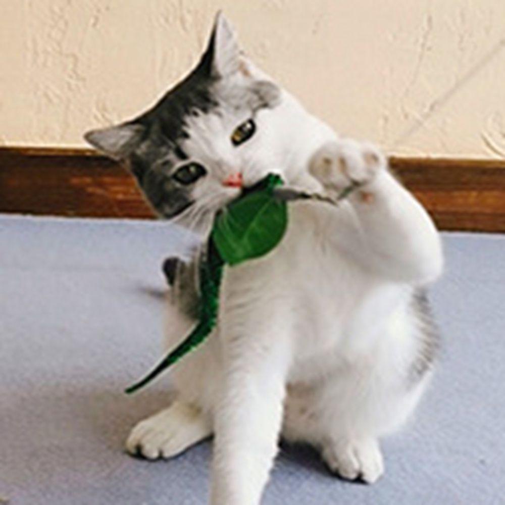 Gậy Kèm Gậy Huấn Luyện Thú Cưng Có Thể Thu Gọn Tiện Lợi