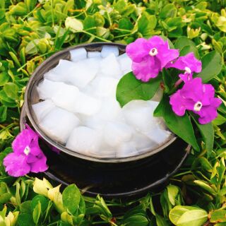 1kg thạch dừa thô
