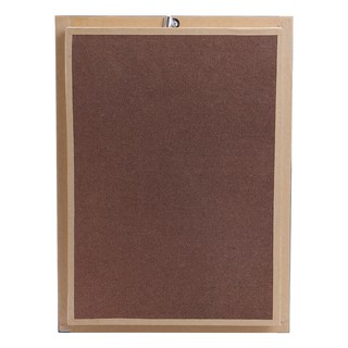 Bộ sưu tập bướm 12 con