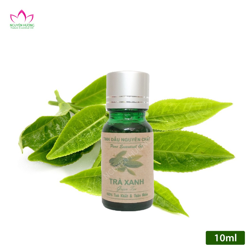 Tinh dầu Trà Xanh - Green Tea Nguyên Hương Việt Nam | Có Kiểm Định Chất Lượng | Xông thơm phòng | Thế Giới Skin Care
