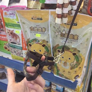 Bộ yếm đeo + dây dắt cho Sóc Bông, Sóc Bay Úc, Sóc Bắc Mỹ, Sóc Đất ( giao màu ngẫu nhiên )