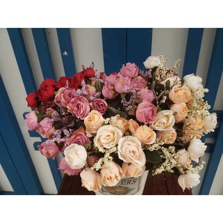 Hoa hồng tiểu muội