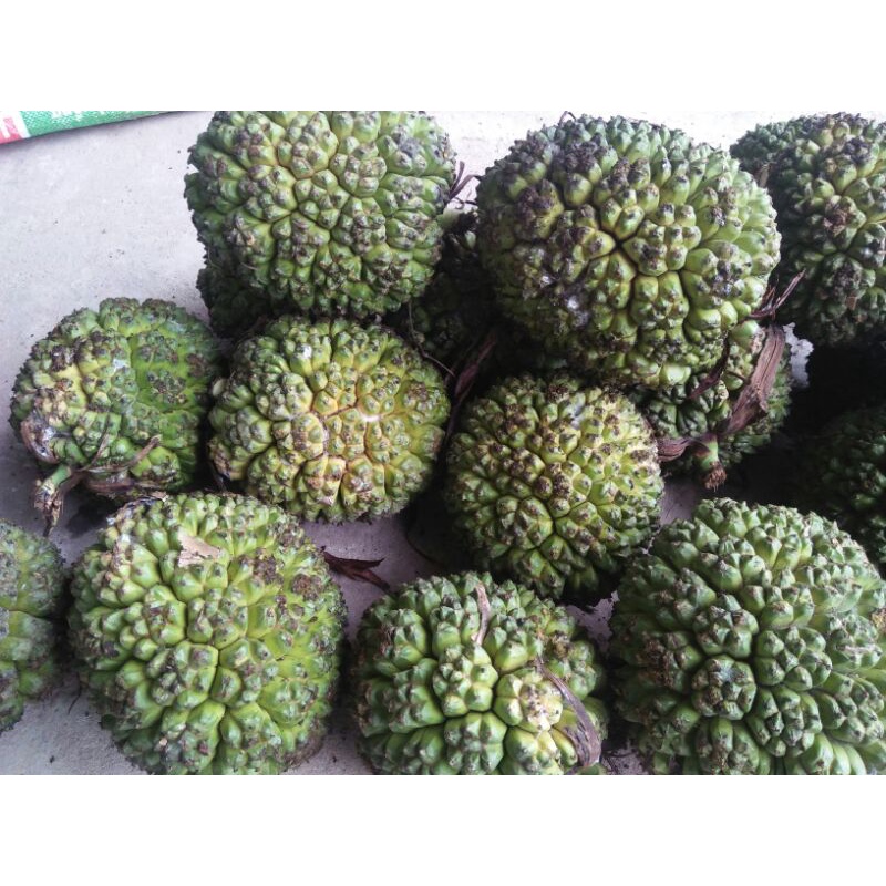 1Kg dứa rừng khô (dứa dại)