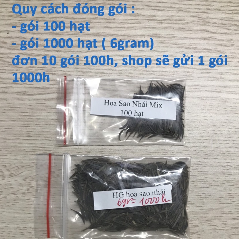 SALE 1K NẢY MẦM CAO - hạt giống hoa sao nhái mix ( cúc cánh bướm ) nhiều màu