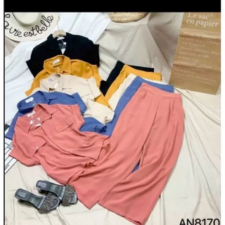 Set sơ mi màu mã 250