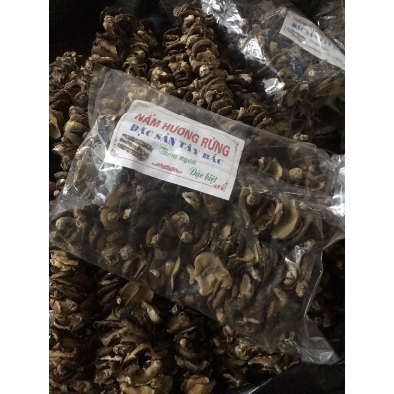 Nấm hương rừng Sapa, đặc sản Tây Bắc chuẩn ngon, hàng loại 1, giàu dinh dưỡng