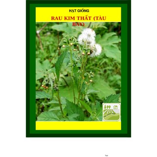 1G - Hạt Giống Rau Kim Thất