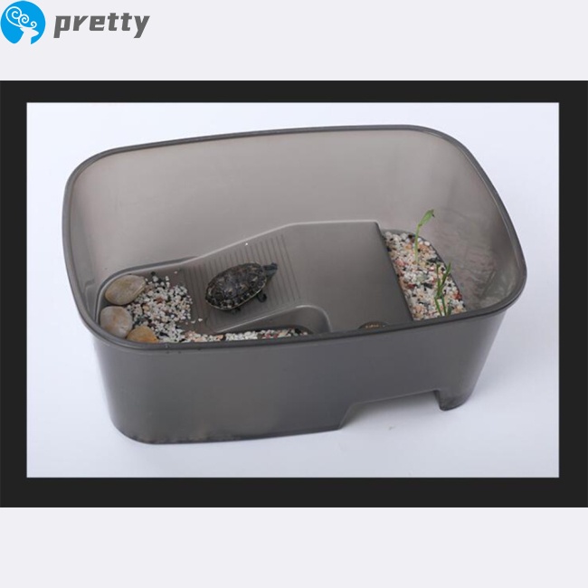 Hồ nuôi rùa bằng nhựa có mái nhà