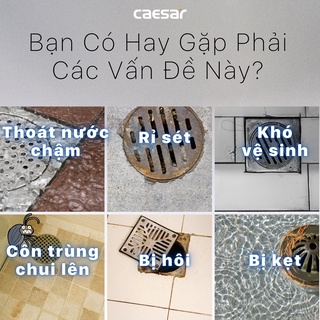 Phễu Thoát Sàn - ST1212