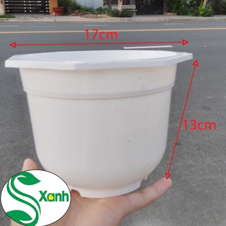 Chậu nhựa trồng cây treo - combo 10 cái
