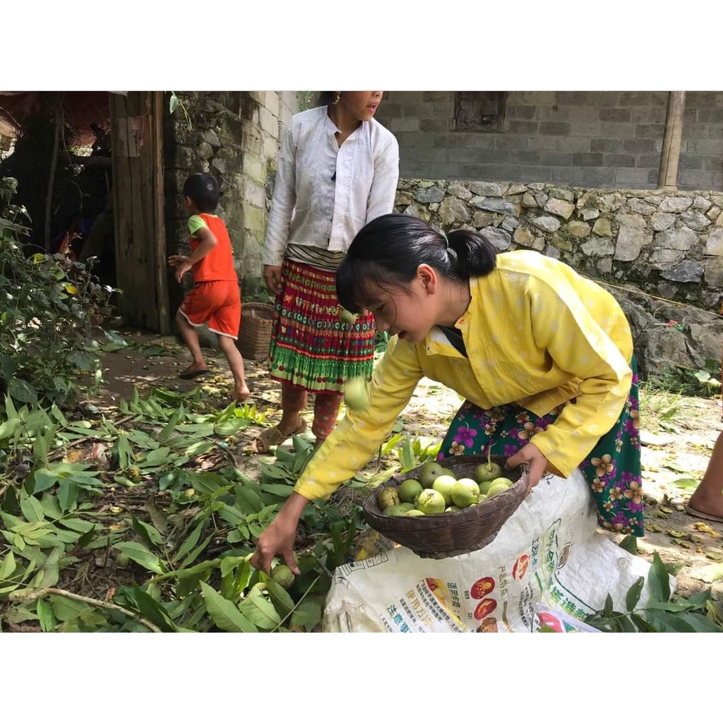 Óc Chó Nếp Hà Giang 500g